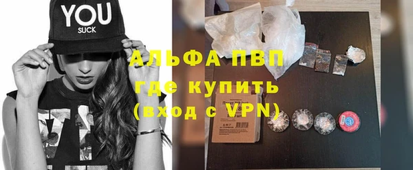 прущие грибы Касимов