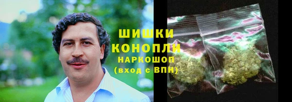 прущие грибы Касимов
