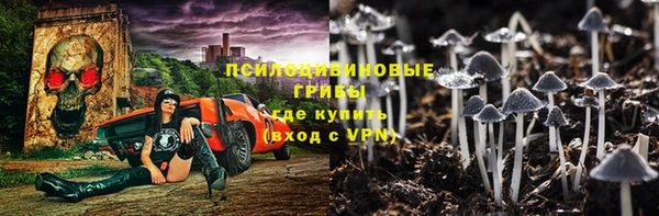 прущие грибы Касимов