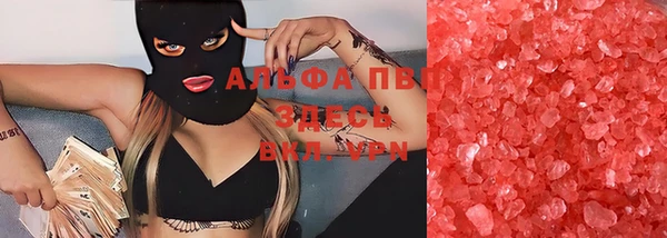 прущие грибы Касимов
