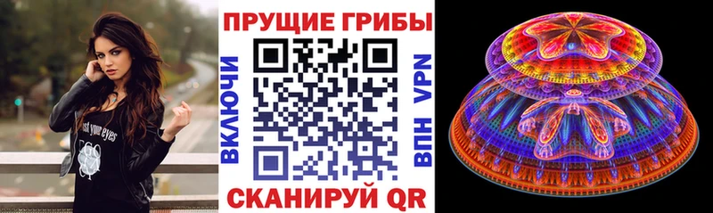 hydra как зайти  Красновишерск  Псилоцибиновые грибы Psilocybe  где можно купить  